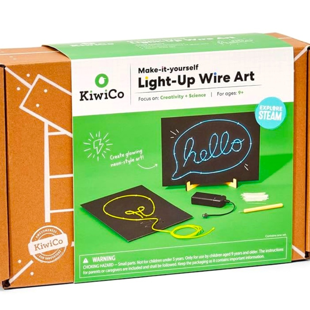 Light Up Wire Art